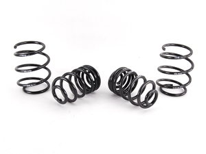 HR Sport Spring Set