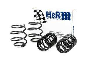 HR Sport Spring Set