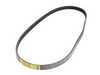 Continental Accessory Drive Belt