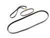 Continental Accessory Belt Kit